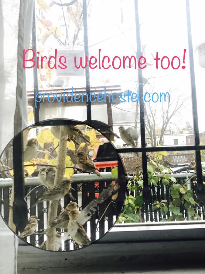 Providence Hostel & Guest House المظهر الخارجي الصورة